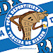Torcida Riazor