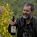 Vinos 4